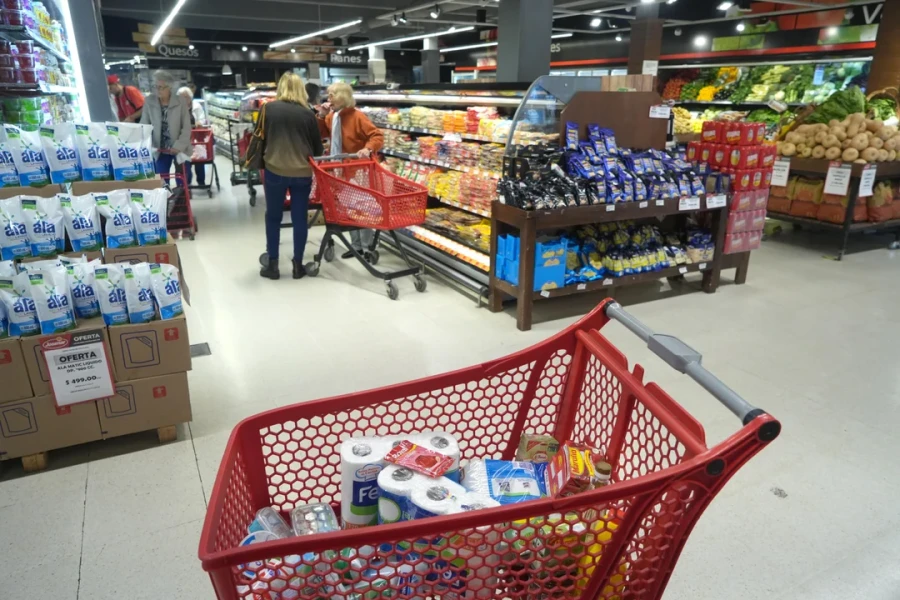En los hogares con responsables de compra sub 35, predominan hijos en la primera infancia.