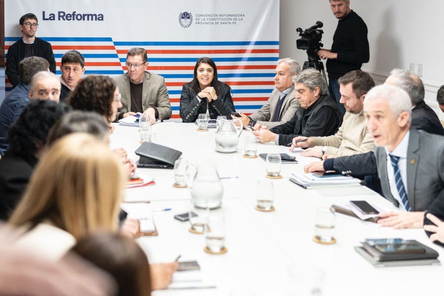 La Comisi&oacute;n de Poder Legislativo y Ejecutivo es presidida por el convencional y senador provincial Rodrigo Borla.