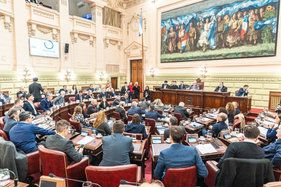 PLENARIO. La Convenci&oacute;n Reformadora en su tercera sesi&oacute;n en la Legislatura santafesina.