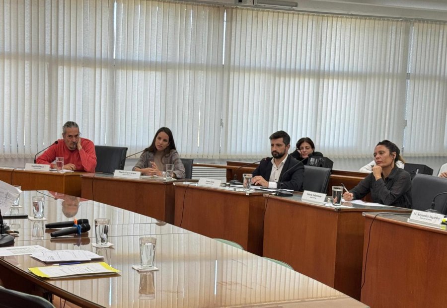 Mart&iacute;n Racca, Paz Caruso, Juan Senn y Valeria Soltermam salieron al cruce de declaraciones del intendente Viotti.