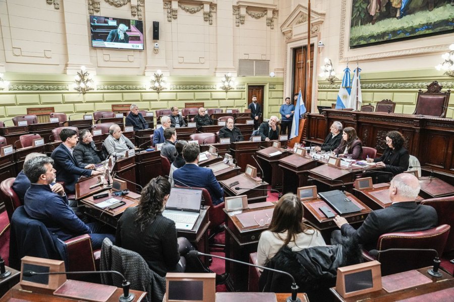 REUNION. La Comisi&oacute;n de Funcionamiento del Estado mantuvo este lunes una reuni&oacute;n con distintos representantes con vistas a lo que pretenden para la Constituci&oacute;n.