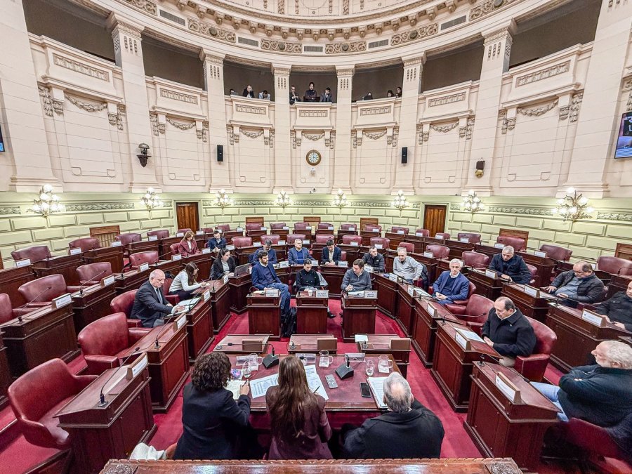 AGENDA NUTRIDA. La Convenci&oacute;n Reformadora de la Constituci&oacute;n de la Provincia de Santa Fe continuar&aacute; este mi&eacute;rcoles con su serie de reuniones.