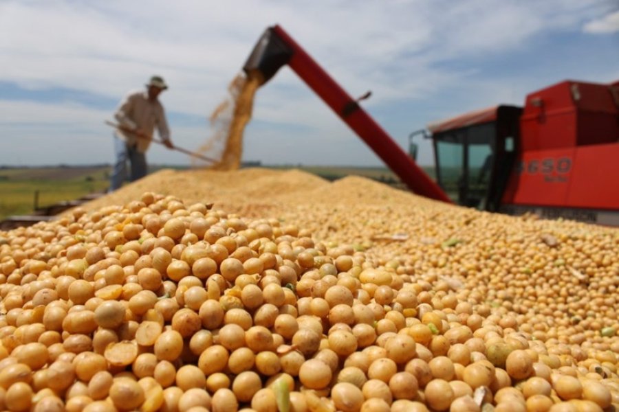 RENTABILIDAD. Al mejorar la ecuaci&oacute;n para el productor el nivel de inversi&oacute;n ser&aacute; mayor.