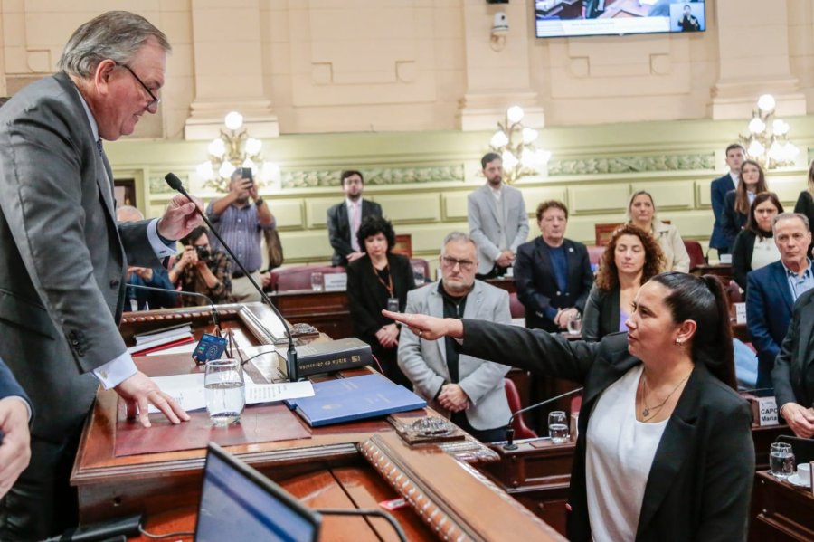 ASUNCI&Oacute;N. Ver&oacute;nica Colombo presta juramente ante el presidente de la Convenci&oacute;n, Felipe Michlig.