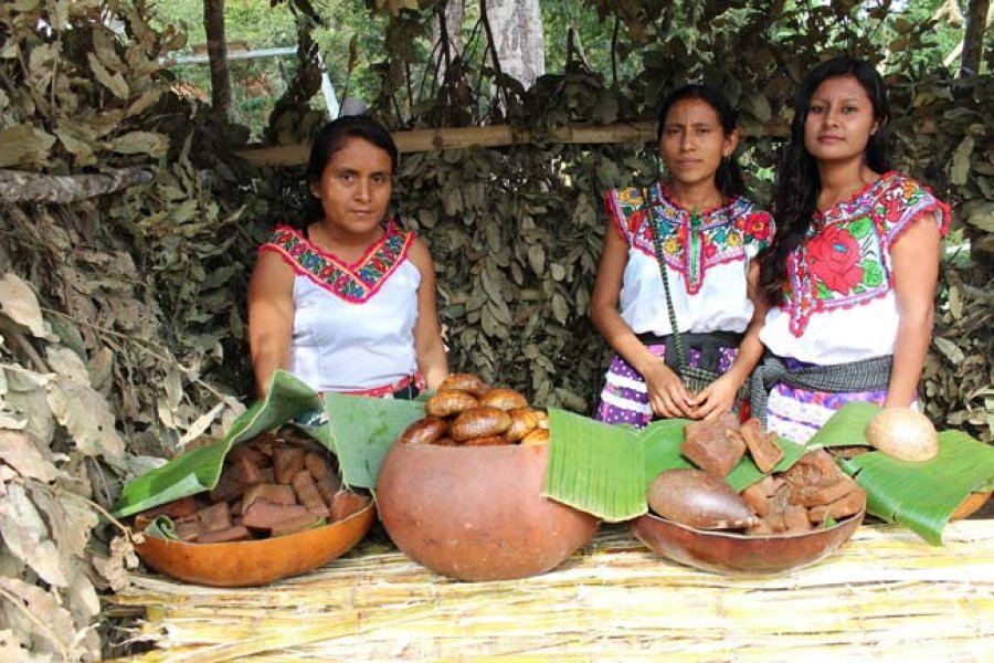un grupo de mujeres ind&iacute;genas.