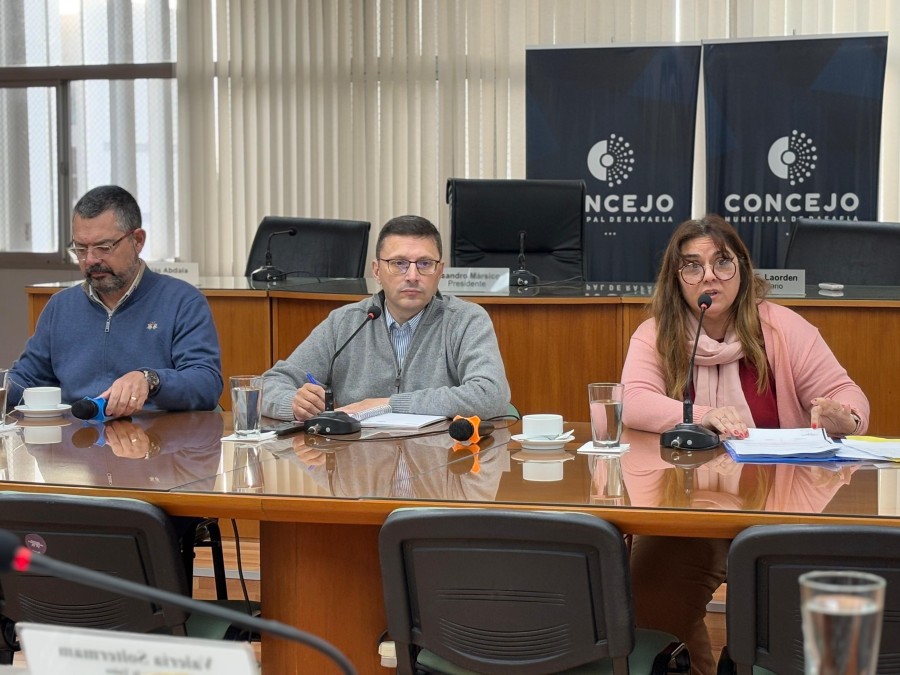 Los legisladores locales realizaron diferentes consultas sobre el estado de avance de la auditor&iacute;a externa.