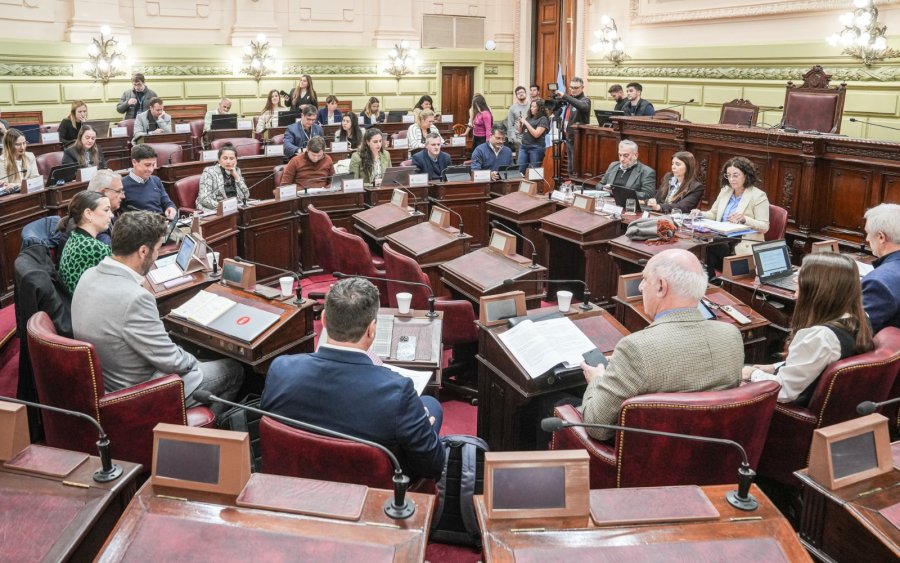 La Comisi&oacute;n de Funcionamiento del Estado y Participaci&oacute;n Ciudadana abord&oacute; diversos temas.