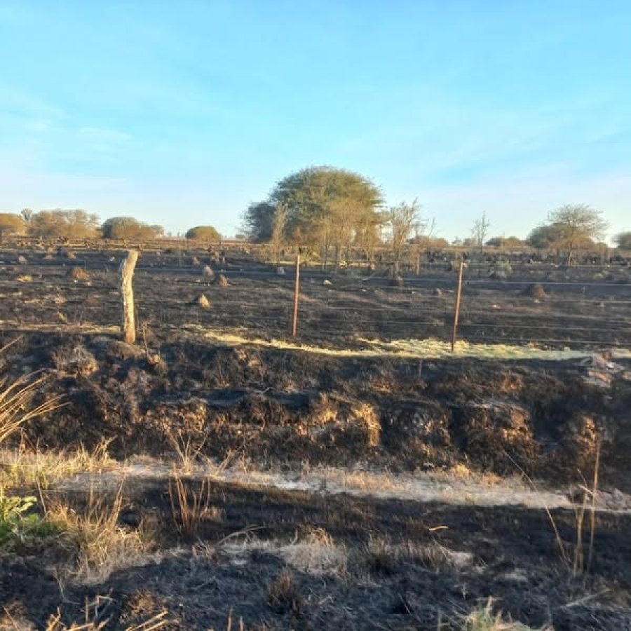 As&iacute; qued&oacute; el &aacute;rea rural afectada por el incendio.
