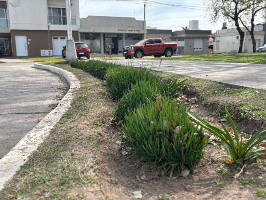 MANTENIMIENTO. Los trabajos se concentraron en la rotonda ubicada en la intersecci&oacute;n de Bv. Hip&oacute;lito Yrigoyen y Fader, y en la de avenida Fanti, frente al Anfiteatro.