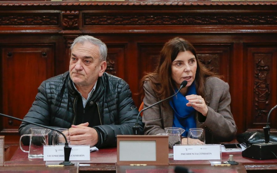 PLENARIO. Los 69 convencionales est&aacute;n convocados para este viernes en la Legislatura.