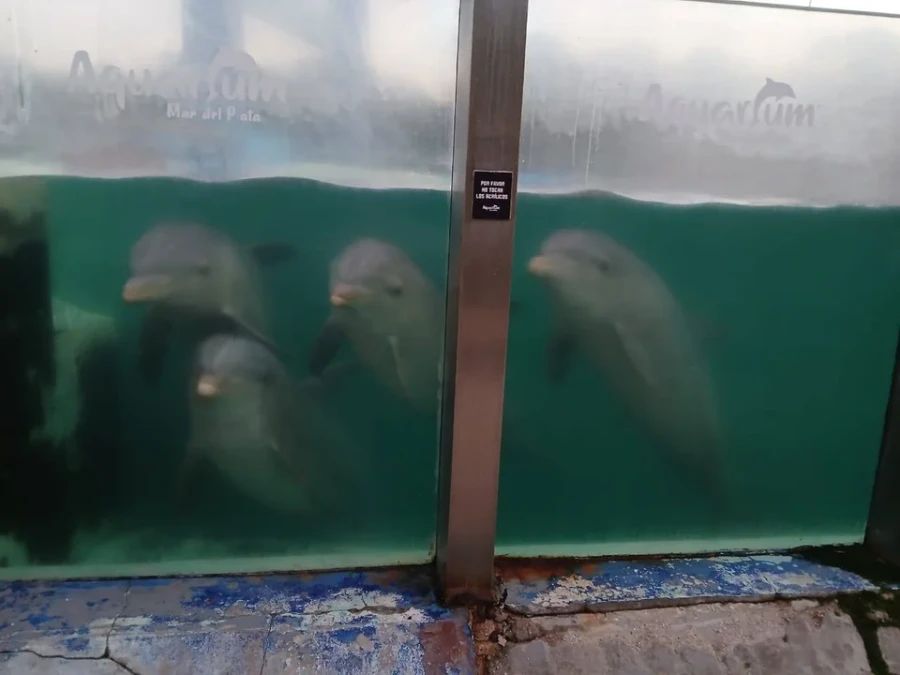 Aquarium de Mar del Plata.