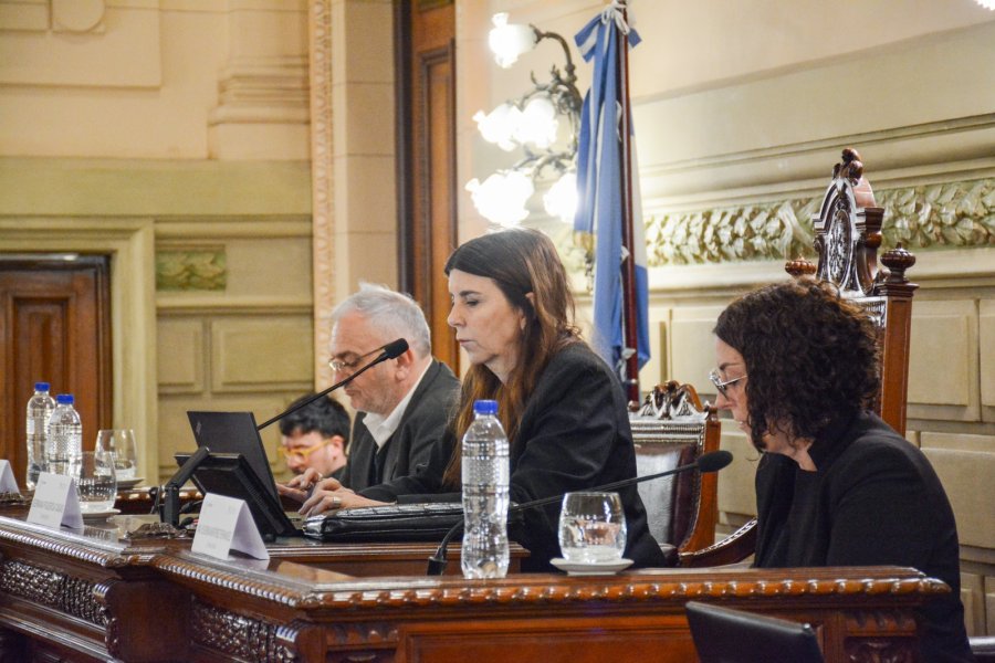 La Comisi&oacute;n de Funcionamiento del Estado y Participaci&oacute;n Ciudadana emiti&oacute; 11 dict&aacute;menes, entre ellos el vinculado a la seguridad social y el r&eacute;gimen jubilatorio provincial.