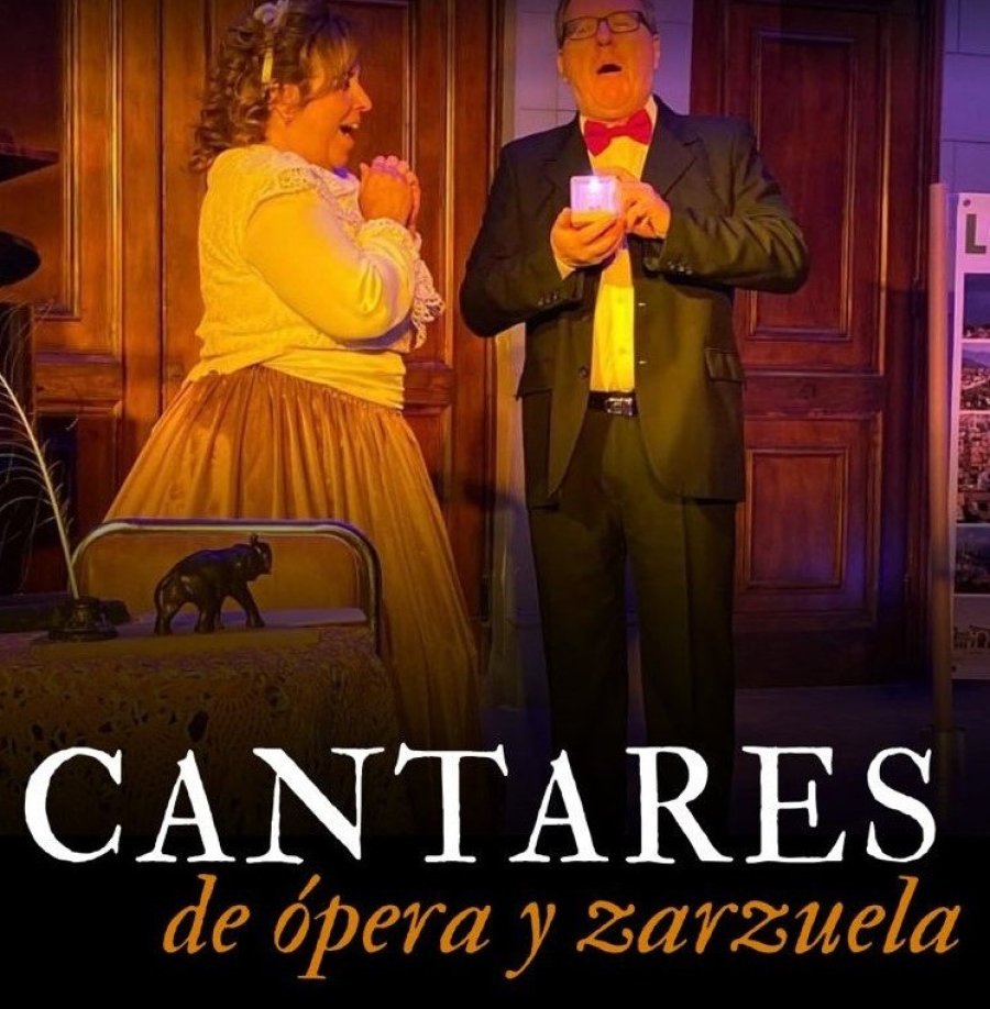 Concierto de &oacute;pera.