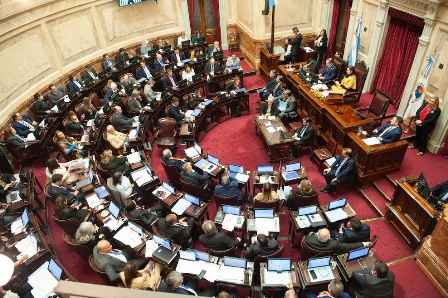 Despu&eacute;s de una jornada cargada por reclamos en las afueras del Palacio Legislativo, el Senado sancion&oacute; la ley que declara la emergencia pedi&aacute;trica y de las residencias nacionales en el Hospital Garrahan. (FOTO SENADO)