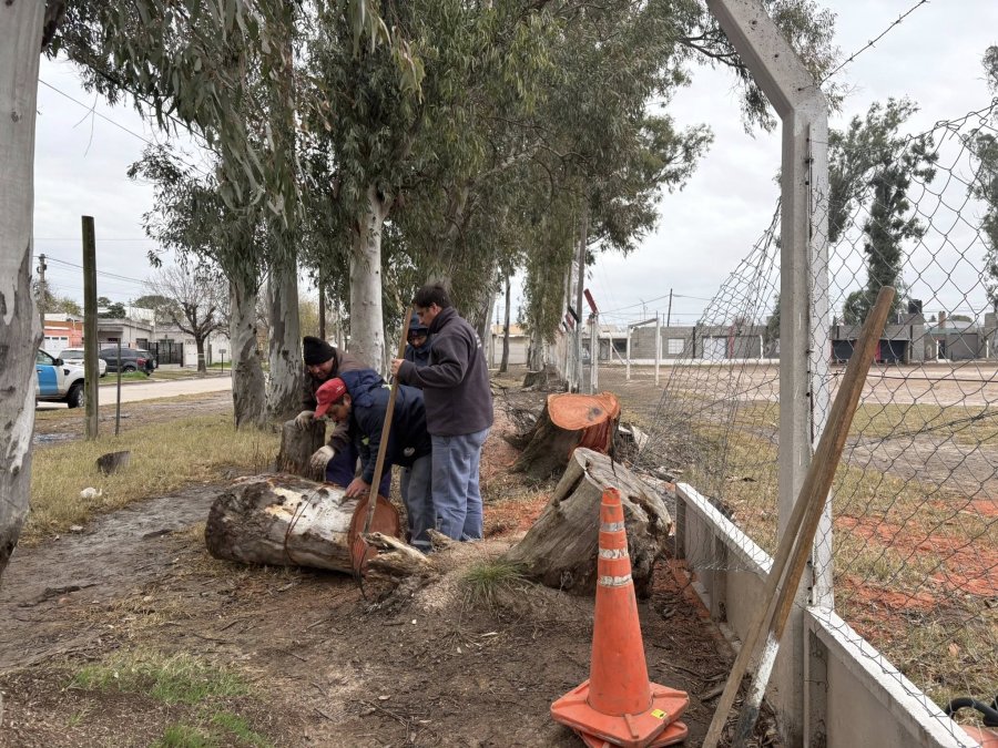 Operarios municipales trabajando en la instituci&oacute;n deportiva.