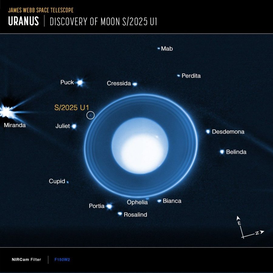 DESCUBRIMIENTO. La NASA identific&oacute; una nueva luna en torno a Urano, la m&aacute;s peque&ntilde;a hallada hasta ahora.