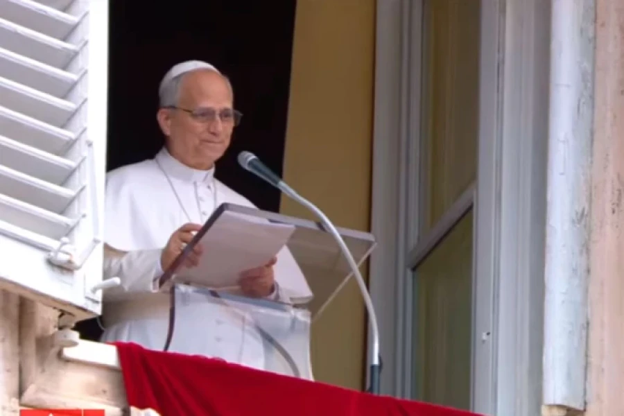 El Sumo Pont&iacute;fice esta ma&ntilde;ana en el Vaticano.