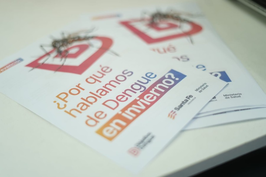 D&iacute;a internacional de lucha contra el dengue.