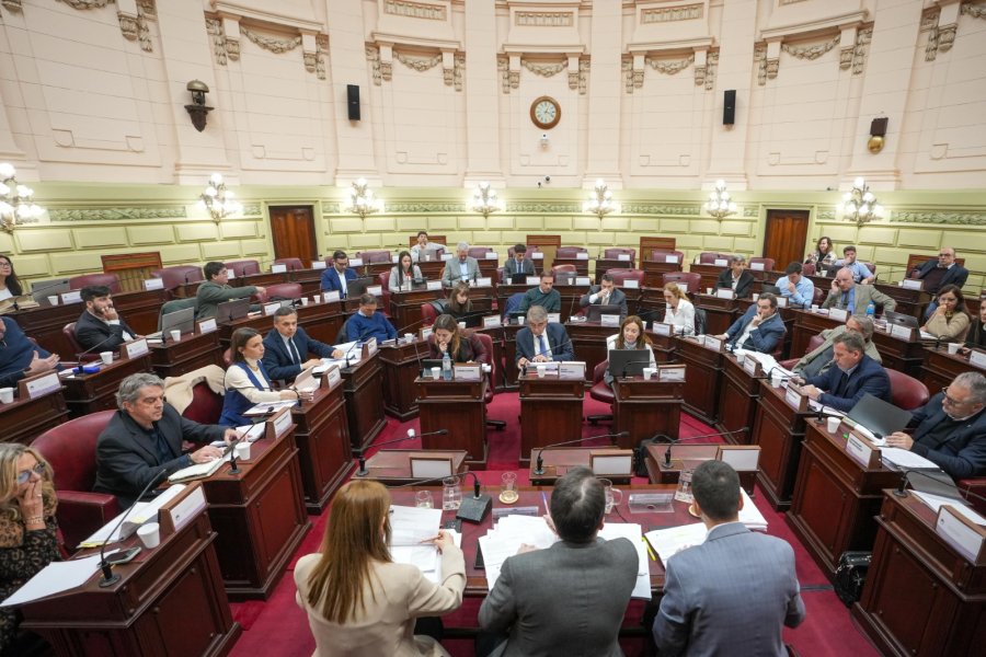 Los convencionales que integran la Comisi&oacute;n Redactora en el recinto de la C&aacute;mara de Diputados. (PRENSA CONVENCI&Oacute;N)
