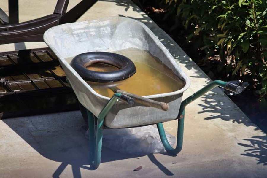 El agua estancada es caldo de cultivo para los mosquitos.