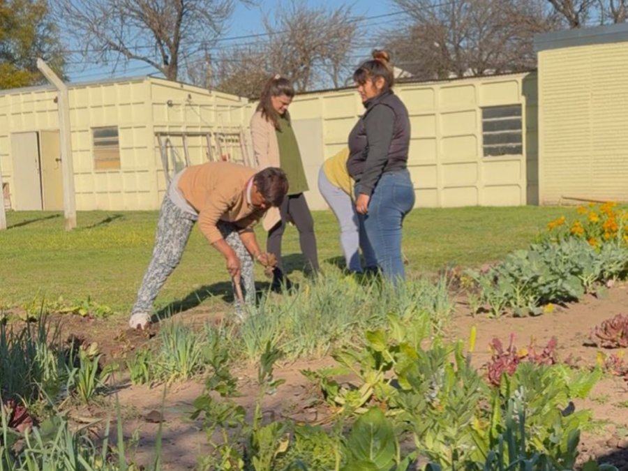 Fomentar la autoproducci&oacute;n de alimentos, la agroecolog&iacute;a y el compostaje en la ciudad.