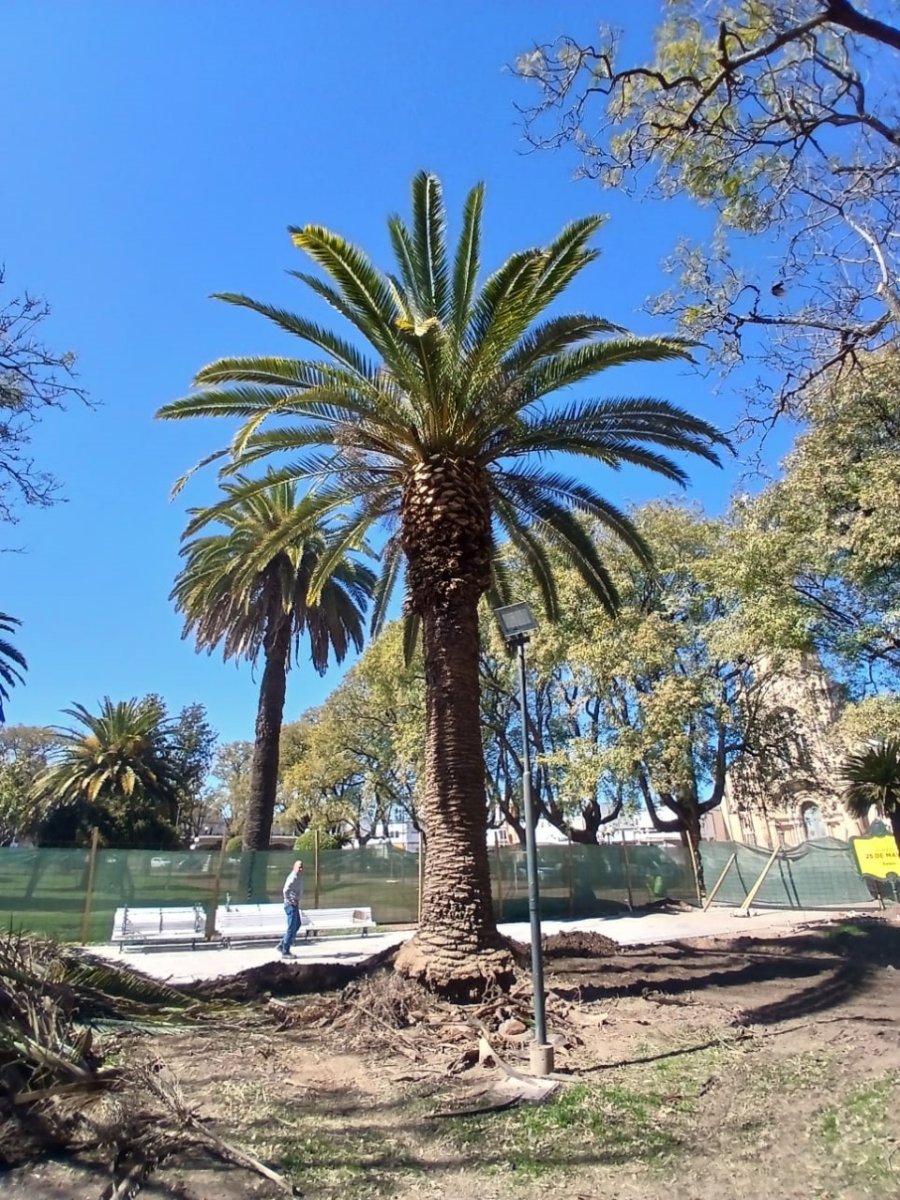 LABORES DE LIMPIEZA. El municipio local contin&uacute;a con el plan de renovaci&oacute;n y puesta en valor de la Plaza 25 de Mayo.