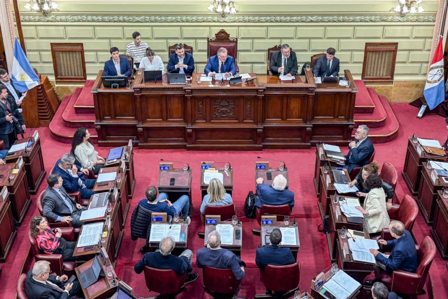 Se trata de los primeros textos definitivos que formar&aacute;n parte de la nueva Constituci&oacute;n provincial.