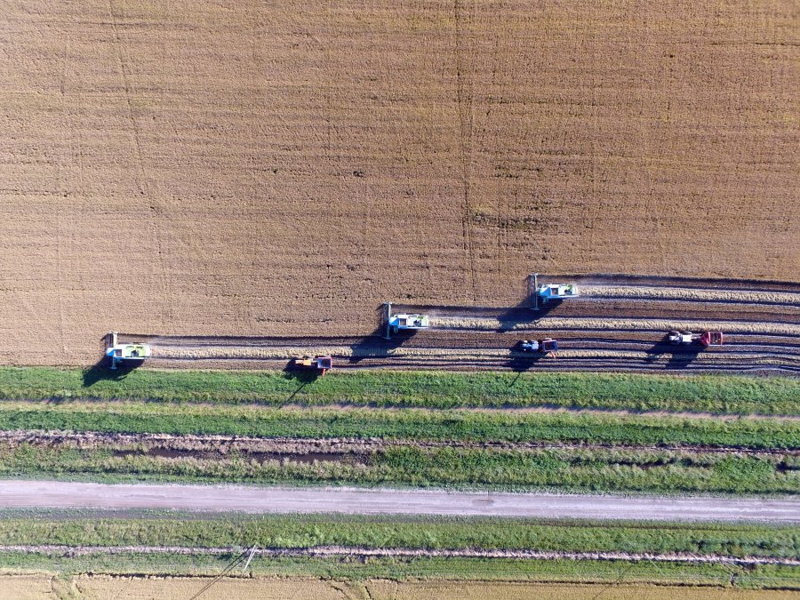 INCERTIDUMBRE. Las empresas agr&iacute;colas deben definir estrategias para surfear la ola.
