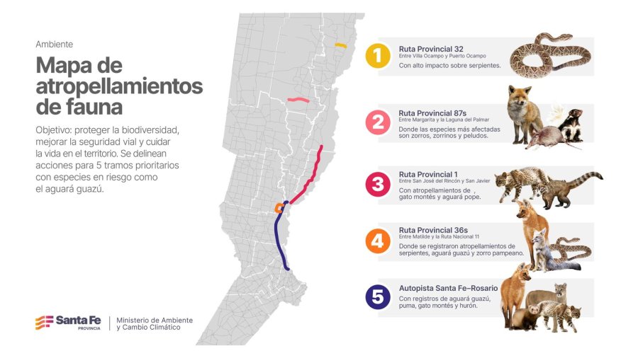 El Ministerio de Ambiente y Cambio Clim&aacute;tico de la Provincia present&oacute; su primer mapa de atropellamientos de fauna.