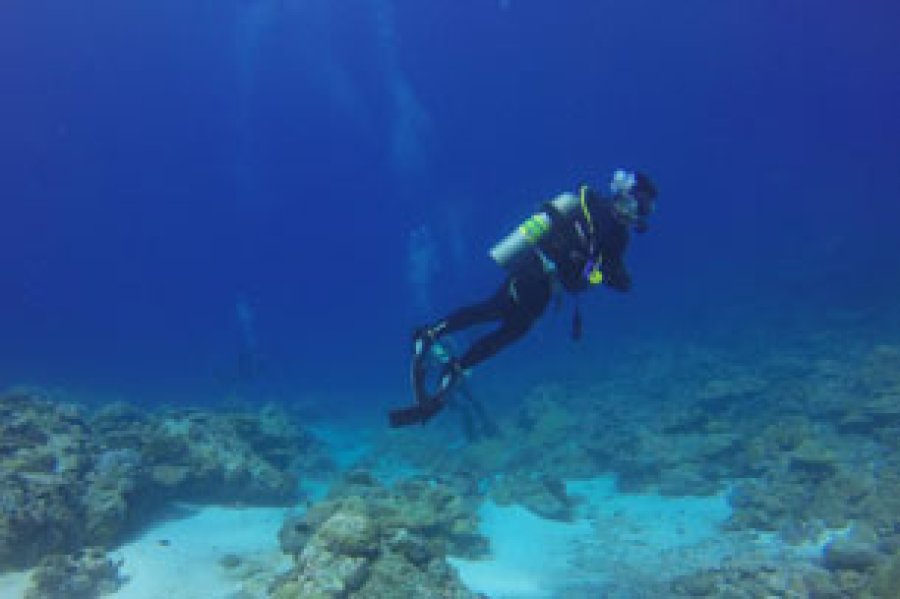 La pr&aacute;ctica de buceo se realiza con diversas finalidades: profesional, recreativa, tur&iacute;stica, cient&iacute;fica.