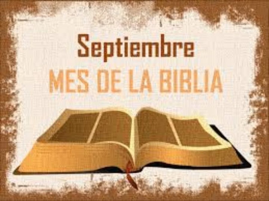 Difusi&oacute;n de la propuesta.
