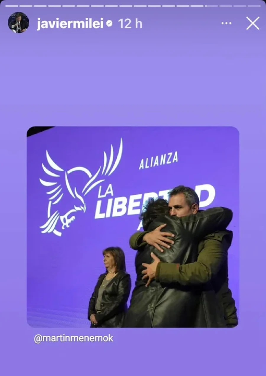 Javier Milei y Mart&iacute;n Menem.