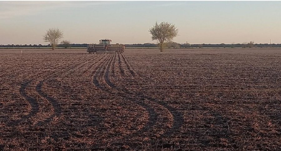 LARGARON. El clima y la humedad en los suelos permiten arrancar la siembra gruesa de manera &oacute;ptima.