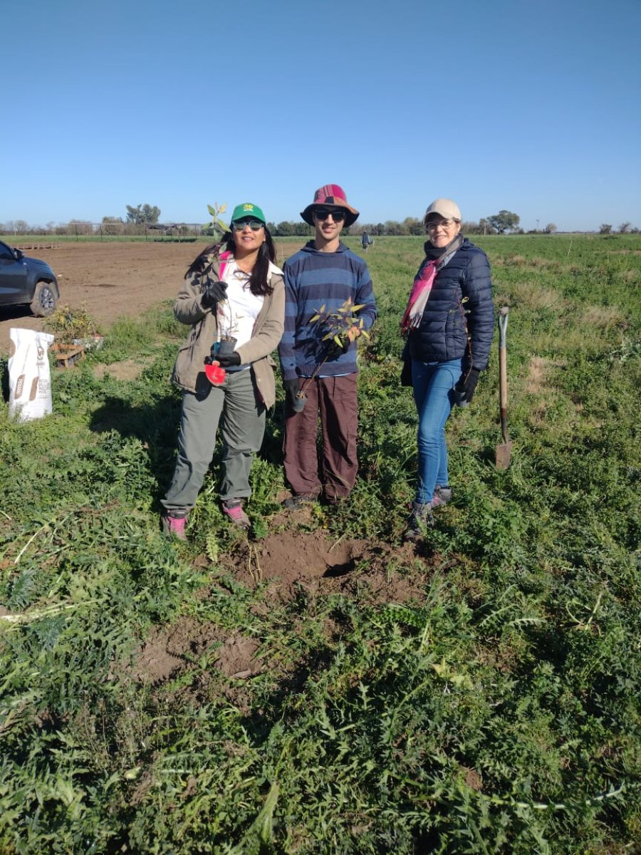FORESTACI&Oacute;N. La Dra Jonicelia Araujo con dos estudiantes plantando la planta n&uacute;mero 100.