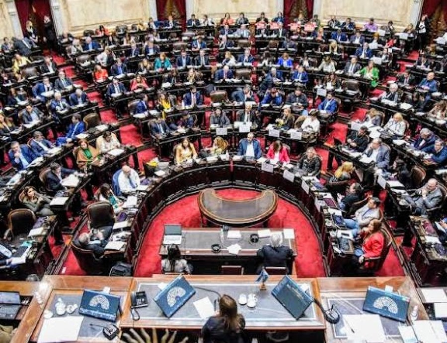 DIPUTADOS. Rechaz&oacute; vetos a Emergencia del Garrahan y Financiamiento Universitario.