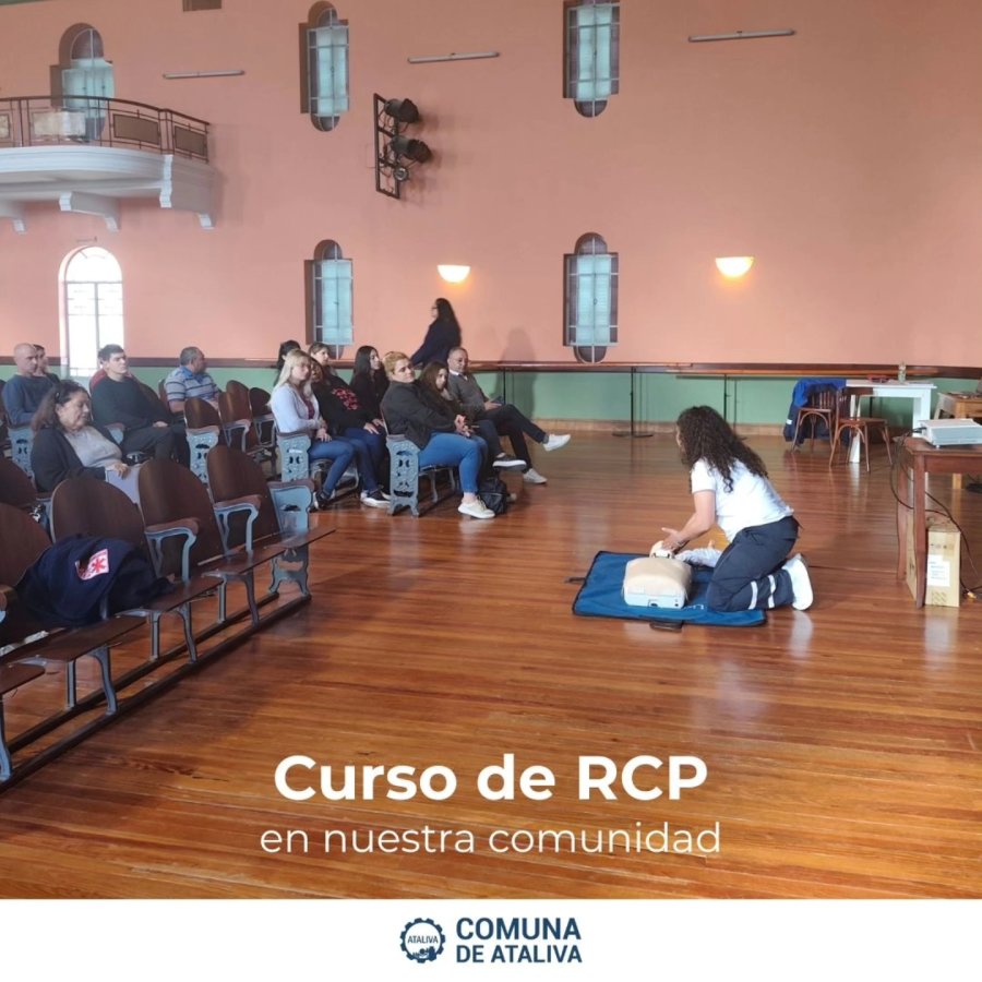 Un instante de la reciente capacitaci&oacute;n.