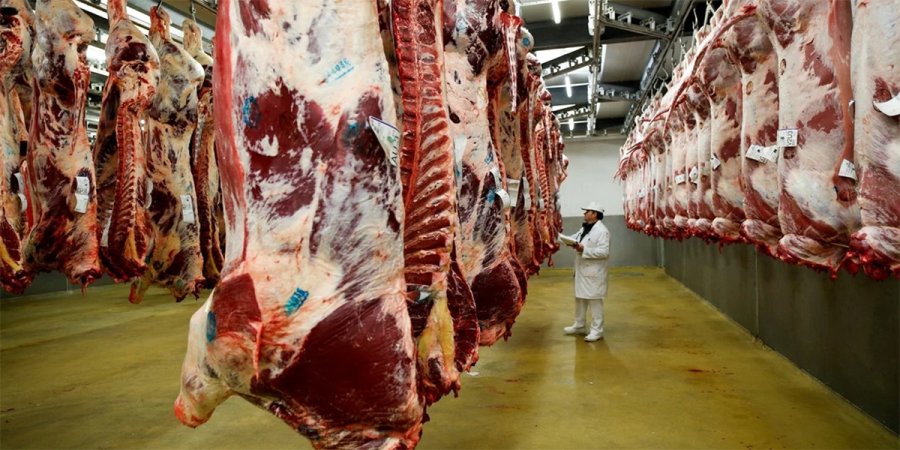 MAS ANUNCIOS. El Gobierno tambi&eacute;n baj&oacute; a cero las retenciones para la producci&oacute;n de granos. La gesti&oacute;n ultraderechista busca conseguir la mayor cantidad de d&oacute;lares antes de las elecciones de octubre.