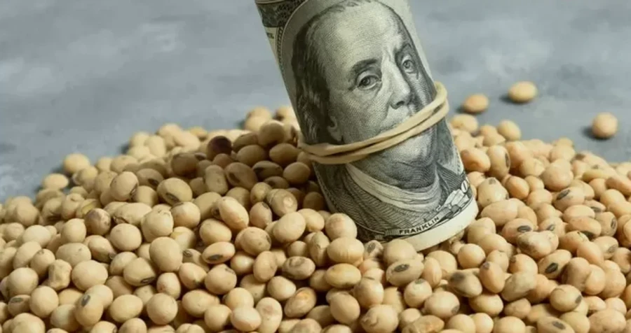 Las bolsas de cereales quieren que se extienda la eliminaci&oacute;n de las retenciones.