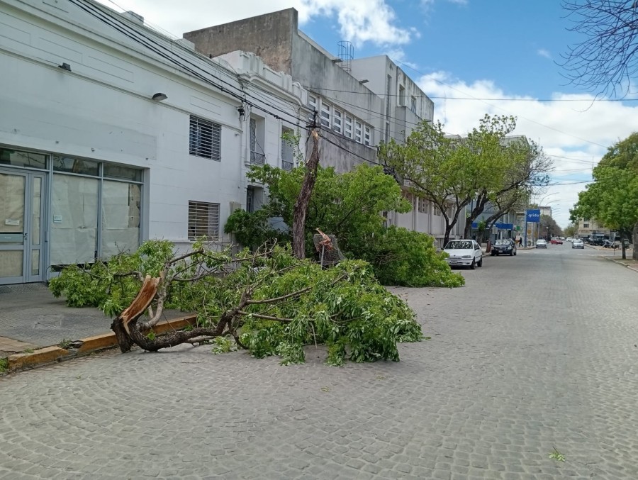 Tambi&eacute;n hubo cortes de luz en barrios de la ciudad.