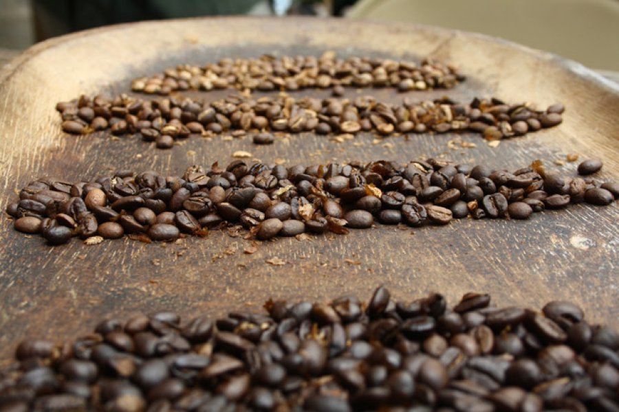 El caf&eacute; es la segunda bebida m&aacute;s consumida en el mundo despu&eacute;s del agua.