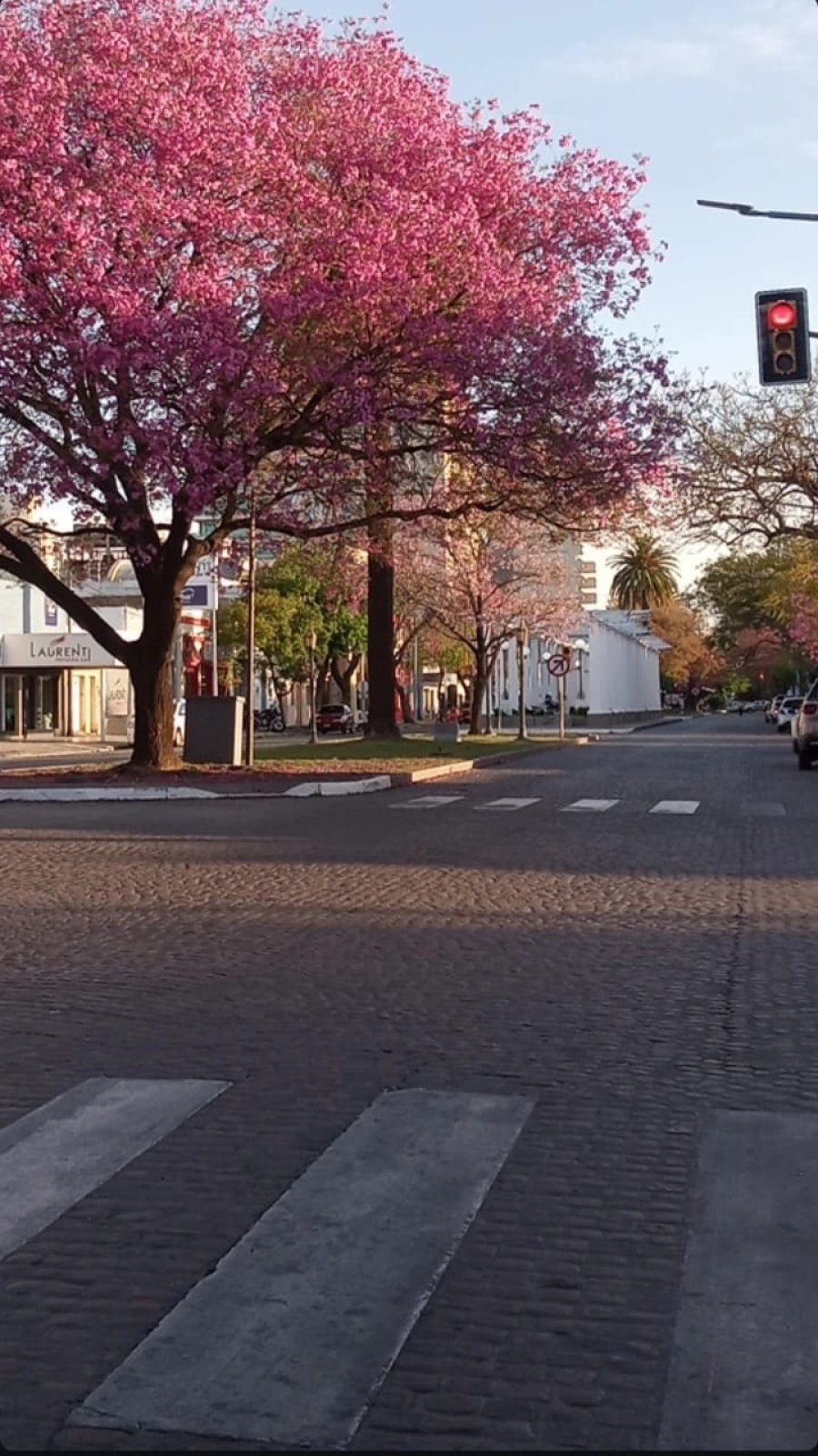&iquest;VUELVEN LAS LLUVIAS? Se esperan altas temperaturas para este s&aacute;bado en la ciudad y a por la noche se podr&iacute;an presentar los primeros chaparrones.