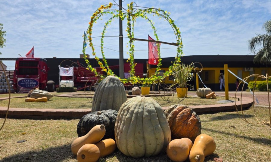 Fiesta Nacional del Zapallo, un &iacute;cono ceresino.