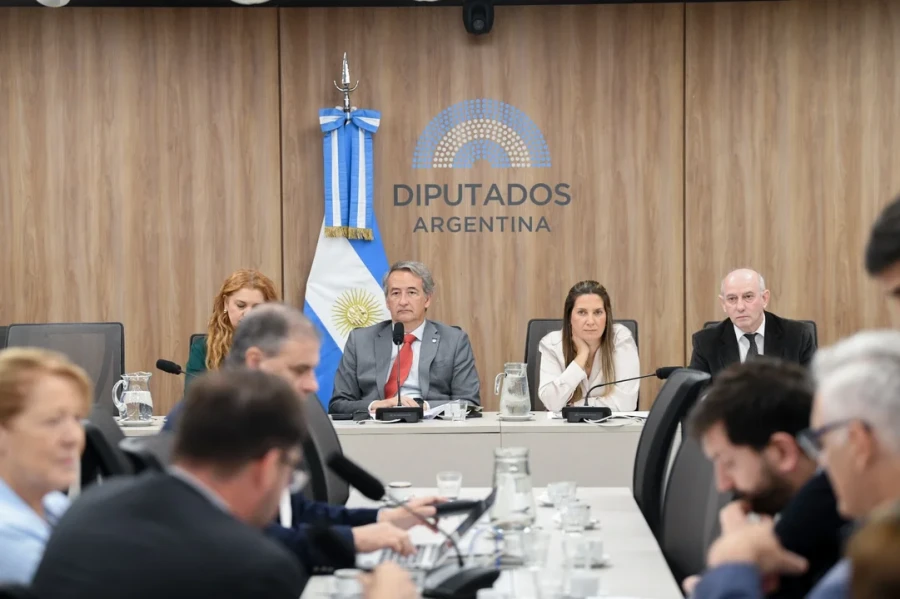 En esa reuni&oacute;n plenaria la oposici&oacute;n logr&oacute; emitir dictamen de mayor&iacute;a con 29 firmas.