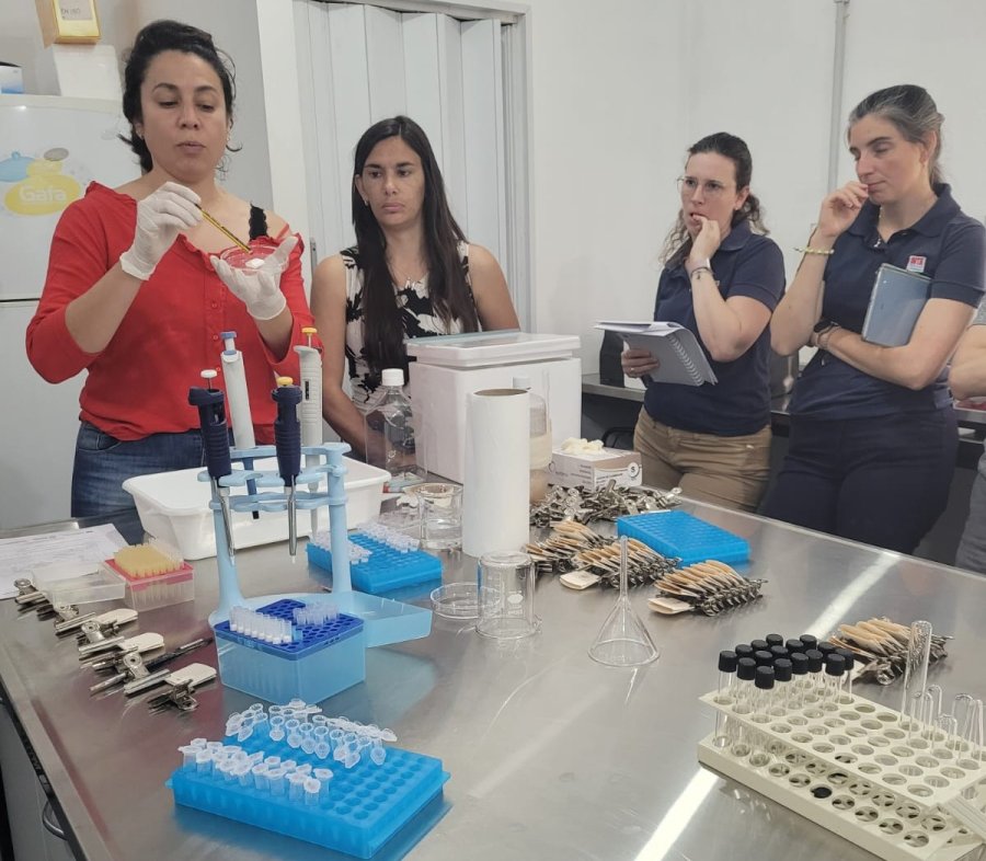 M&aacute;s de 25 representantes de laboratorios y t&eacute;cnicos del SENASA participaron del Taller en la sede del INTA Rafaela.