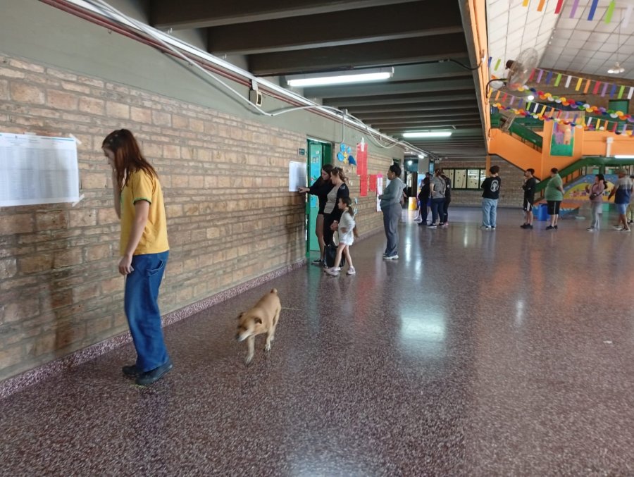 Una votante observa las planillas del padr&oacute;n de cada mesa en la Escuela Lisandro de la Torre de Rafaela.