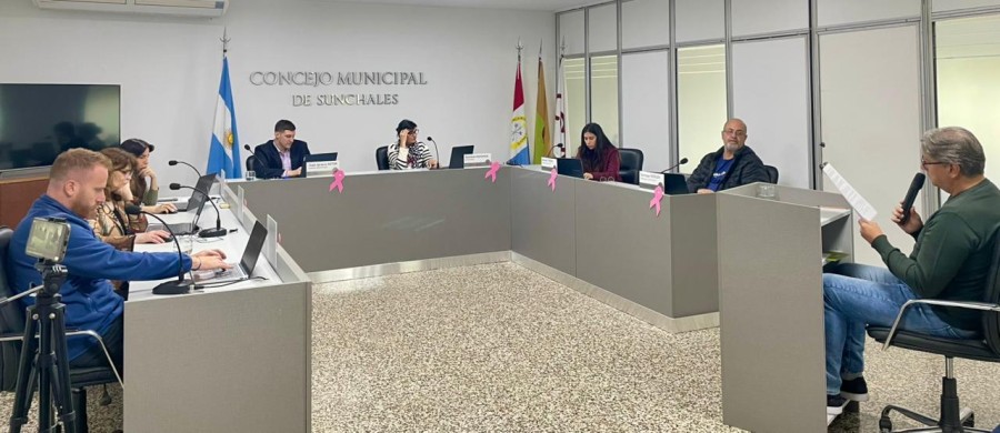 Vista general de la sesi&oacute;n extraordinaria de ayer.