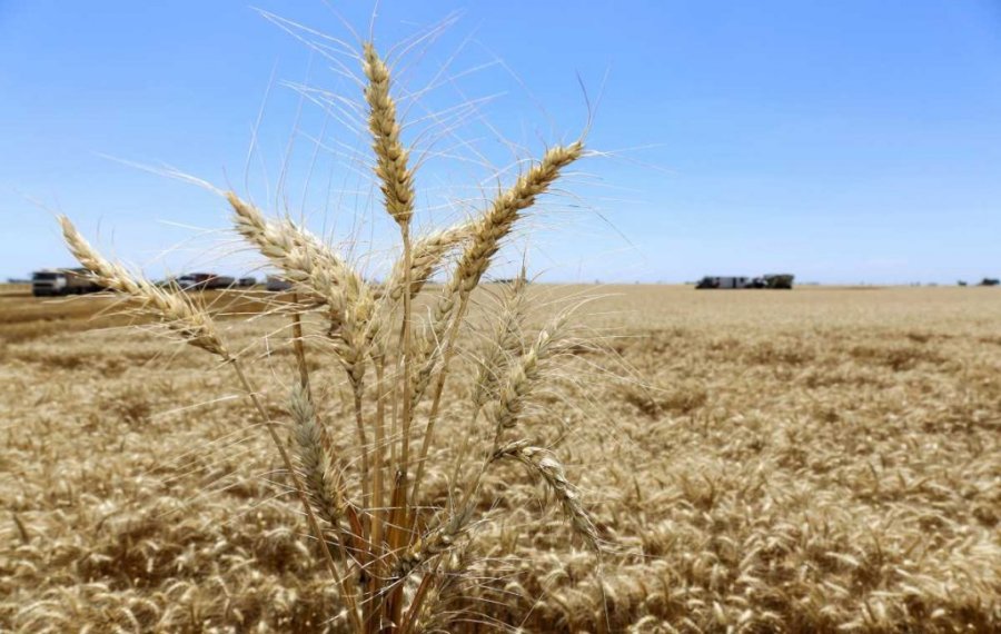 La Ni&ntilde;a podr&iacute;a afectar la producci&oacute;n agr&iacute;cola argentina entre fines de 2025 y principios de 2026.
