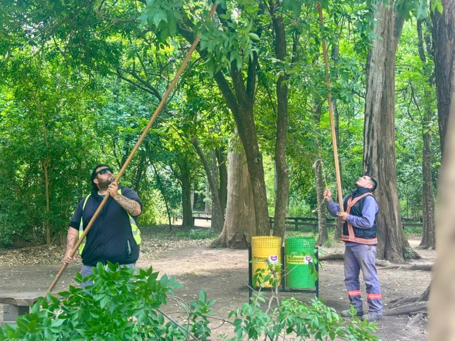 El Bosquecito Besaccia, espacio emblem&aacute;tico de la ciudad