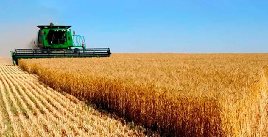 Agroexportaci&oacute;n de octubre 2025 sum&oacute; d&oacute;lares.
