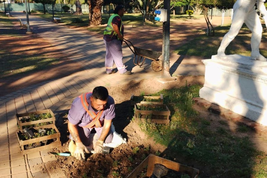 6.000 nuevos plantines florales.